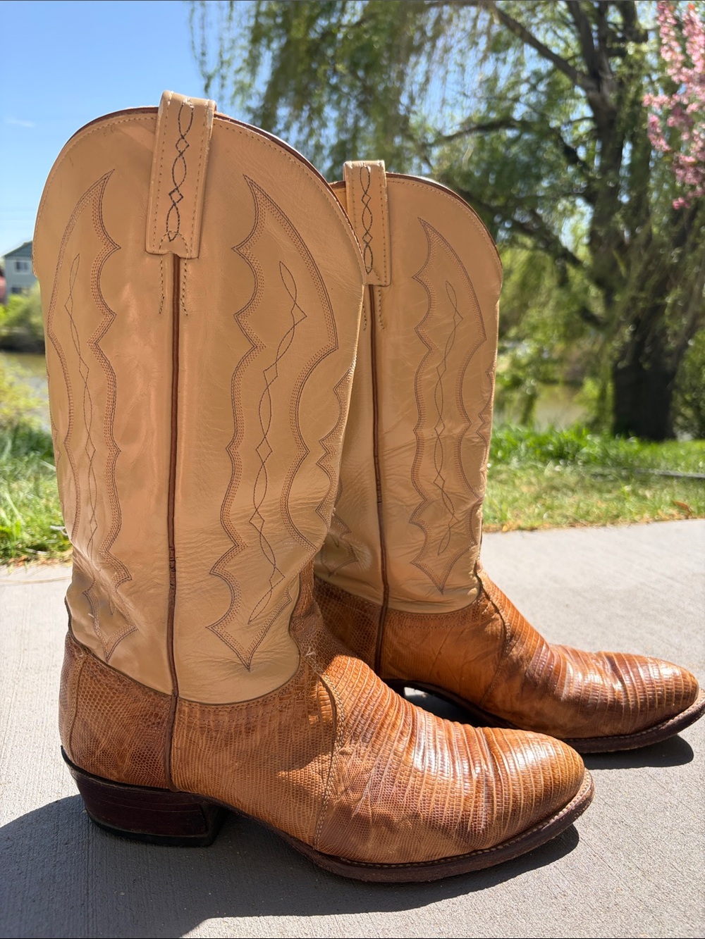 J. Chisholm Men's lizard and Leather Tan Cowboy Boots Size 11d Made in USA